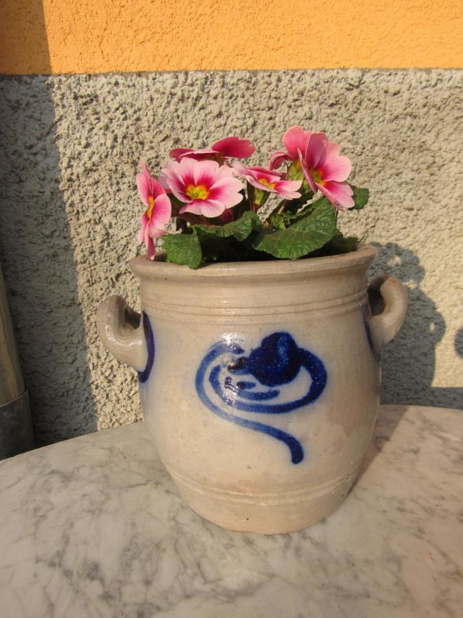 Gite Le Vigneron Donnenheim Exterior foto